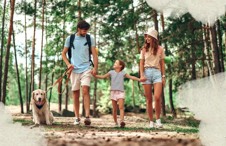 Bild: Baumpatron gibt Wald-Tipps