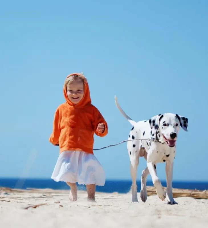 Strandurlaub mit Hund