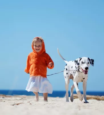 Bild: Strandurlaub mit Hund