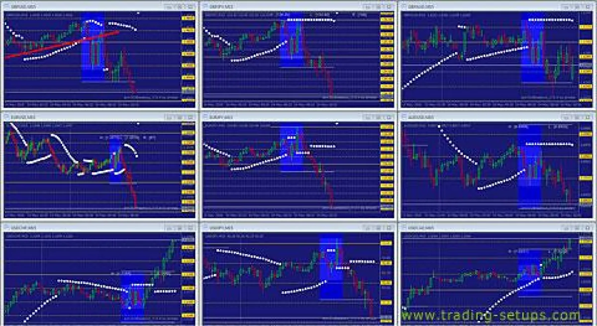 Tradingsetup TS-2BeeFree