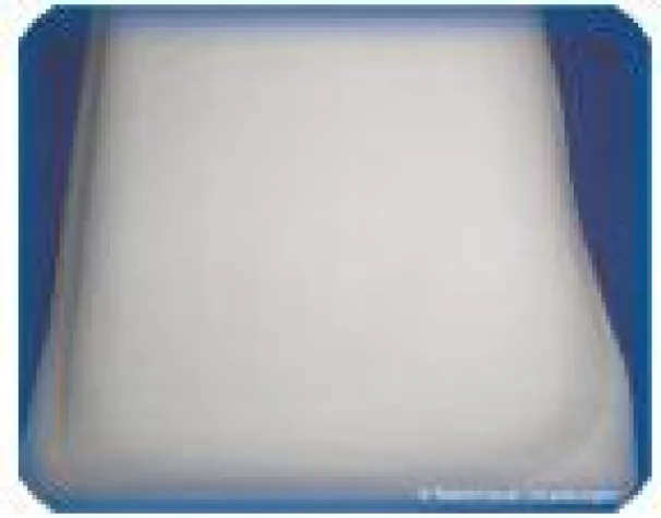 Bild: Die Neuheit aus Italien: Tiefziehfähige Papier-Unterbahnen