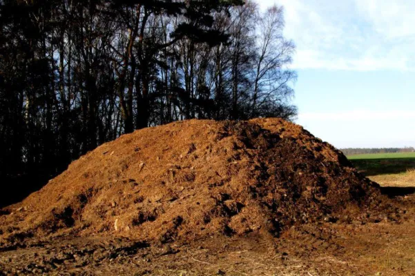 Bild: Geflügel leidet unter Aufstallungsgebot - Tierschützer fordern: Auch letzte Aufstallungsgebote aufheben!