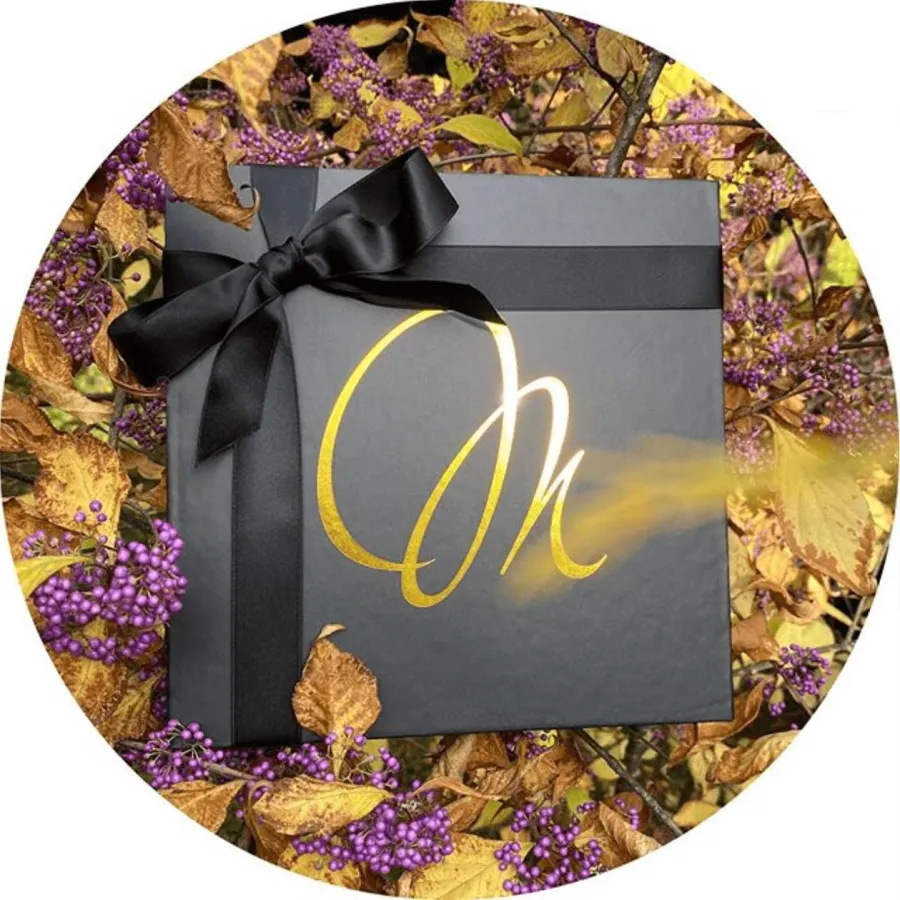 André Sternberg Online Unternehmer & Autor