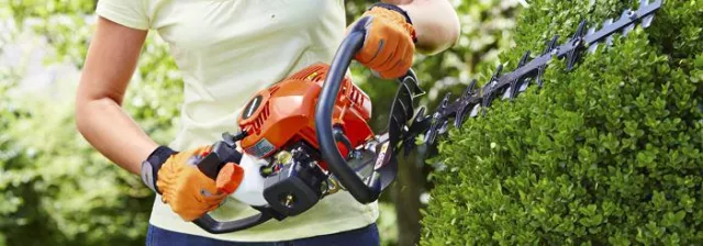 Bestandsschutz: Vorher Hecken schneiden mit der kabellosen ECHO HC-1501 Bild: Bestandsschutz: Vorher Hecken schneiden mit der kabellosen ECHO HC-1501