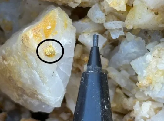 Bild: Golden Cariboo: Nächster Bohrkern glänzt golden!