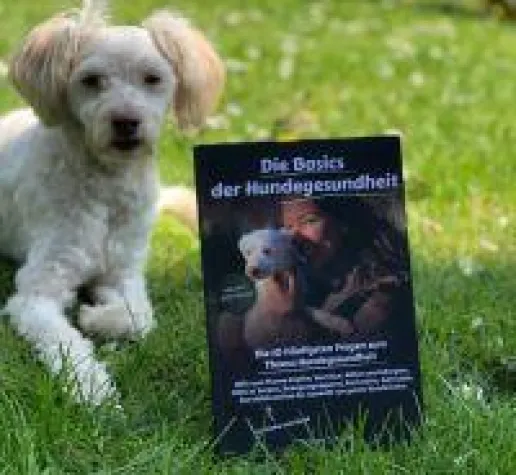 Bild: Die Basics der Hundegesundheit