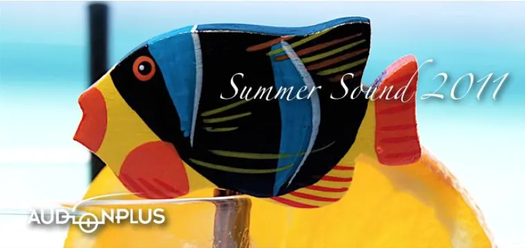 Bild: Der Summer Sound 2011 im Radio von AUDIONPLUS