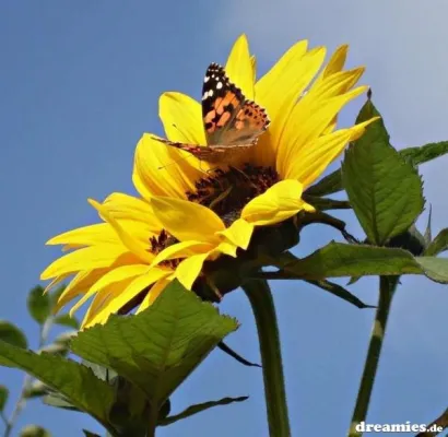 Bild: Schul- und Prüfungsängste erfolgreich meistern