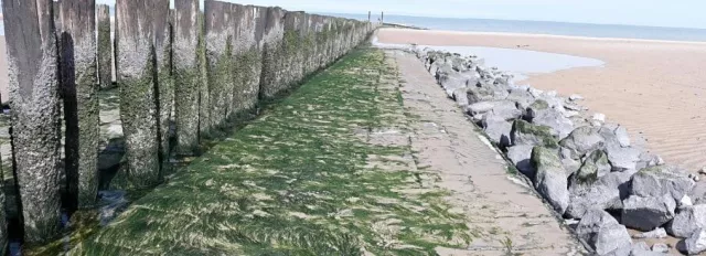 Bild: Herbsturlaub Zeeland - für alle, die es ruhig lieben