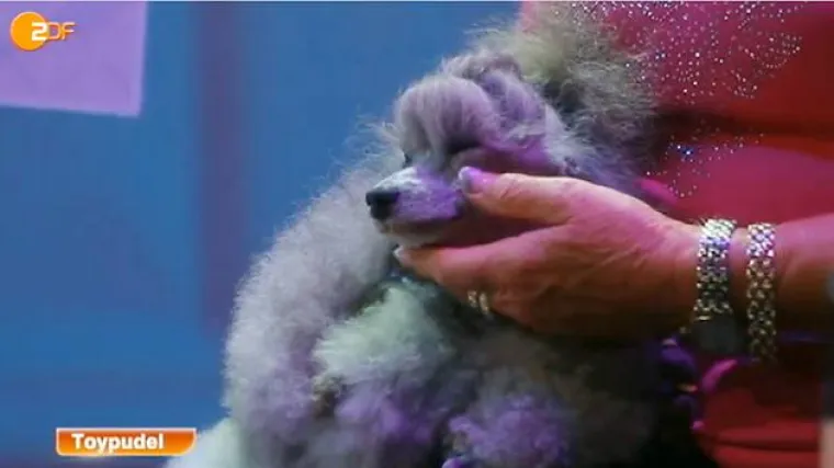 Bild: Wieder schwerer Unfall beim ZDF - Diesmal mit Todesfolge