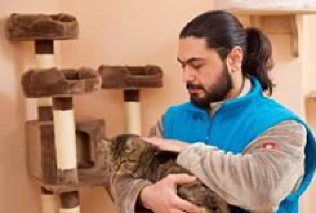 Katzenstreichler im Dienst: Unerlässlich für eine gute Versorgung.