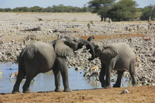 Bild: Afrika „Fairtrade“ und mit der ganzen Familie erleben