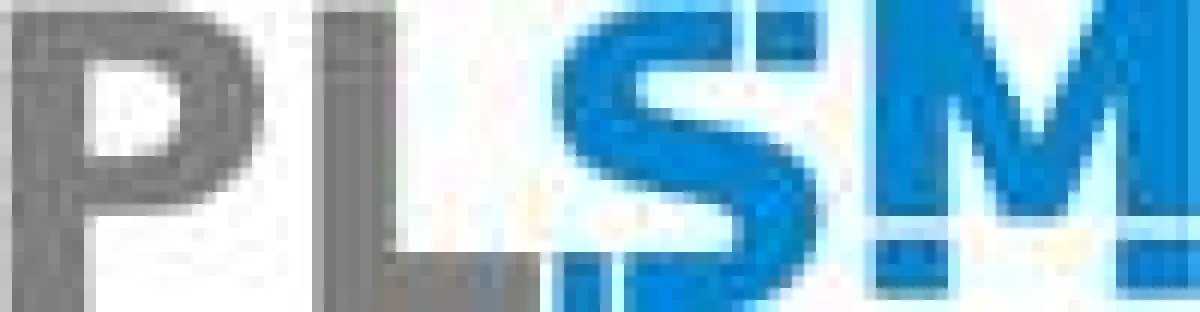 PLSM