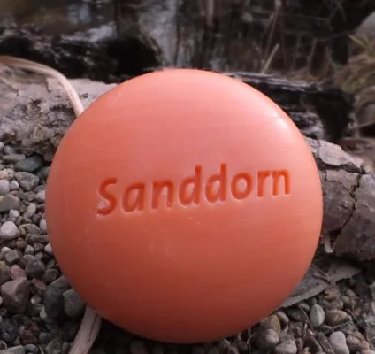 Bild: Revival der Sanddorn-Produkte von der Ostsee: Gesundheit für Körper und Haut