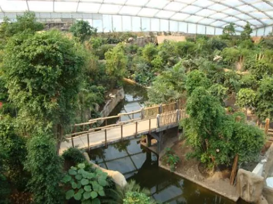Bild: 7.000 Quadratmeter Kunstfelsen im „Zoo der Zukunft“