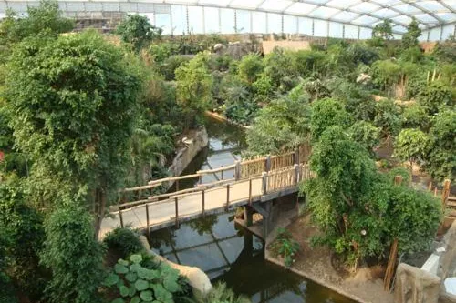 Bild: 7.000 Quadratmeter Kunstfelsen im „Zoo der Zukunft“