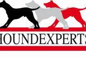 Bild: Interview mit Franz Baumhögger: Inhaber vom Houndexperts.de
