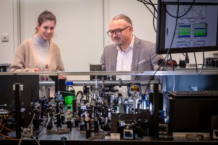 Quantenmechanik hilft bei der Photosynthese Bild: Quantenmechanik hilft bei der Photosynthese