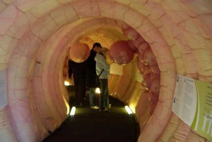 2. Hamburger Magen- und Darmtag Bild: 2. Hamburger Magen- und Darmtag