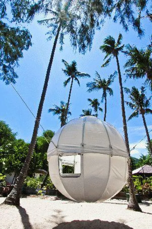 Cocoon
