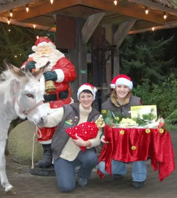 Bild: Täglich große Weihnachts-Verlosung bei Esel und Co. im Wildpark Schwarze Berge