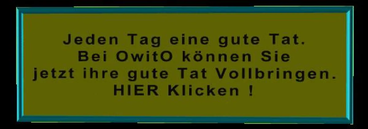 OwitO ihr Auktionshaus ohne Einstellgebühren