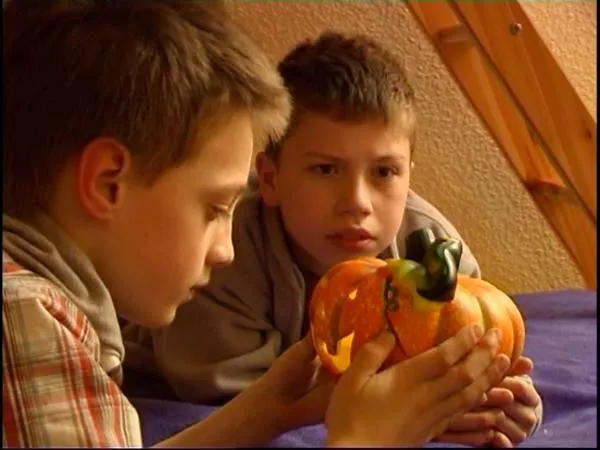 Ein außergewöhnliches Geschenk – DVD zu Halloween als Alternative zu Süßigkeiten Bild: Ein außergewöhnliches Geschenk – DVD zu Halloween als Alternative zu Süßigkeiten