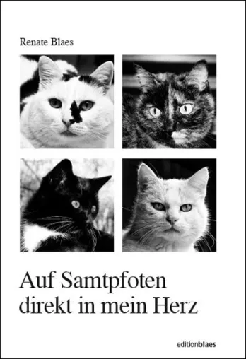 Bild: Neues Katzenbuch von Renate Blaes: „Auf Samtpfoten direkt in mein Herz“
