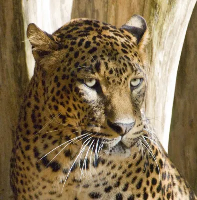 Die „Fotoschule des Sehens“ erweitert ihr Seminarprogramm in 2009 Bild: Die „Fotoschule des Sehens“ erweitert ihr Seminarprogramm in 2009