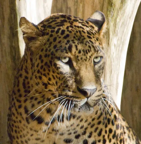 Bild: Die „Fotoschule des Sehens“ erweitert ihr Seminarprogramm in 2009