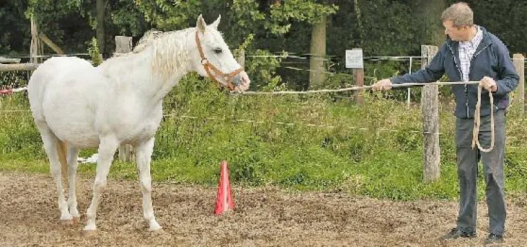 Wer nicht führt, verliert Bild: Wer nicht führt, verliert