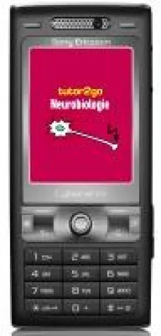 Bild: Jetzt ist Abiturzeit - Mit dem Handy auf das Abi büffeln