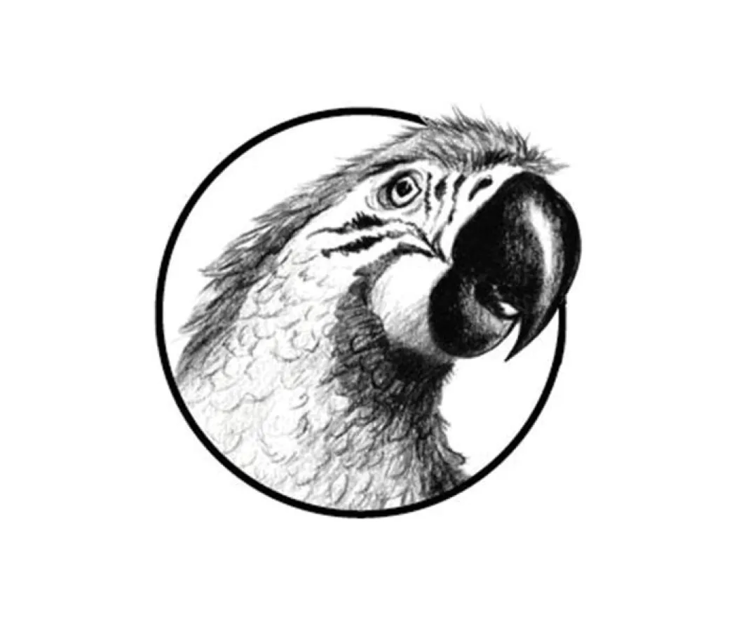 P&P Studios Regensburg