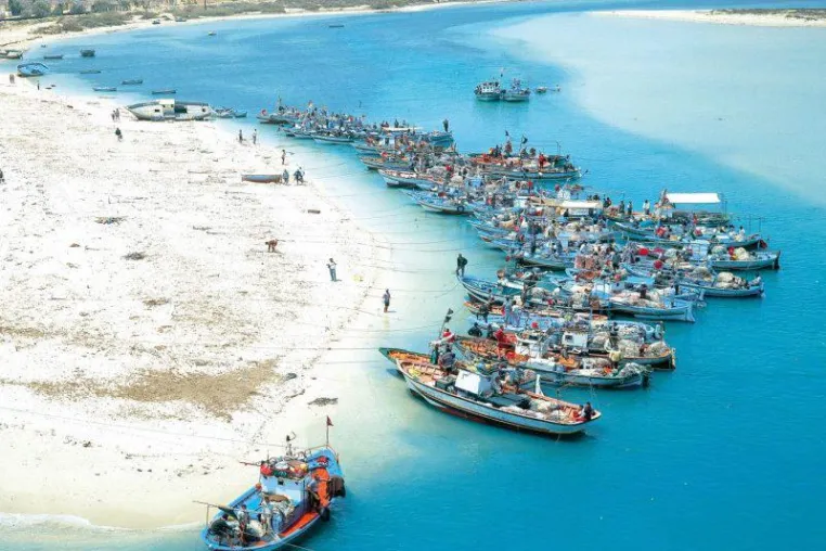 Mittelmeer Juwel Djerba als Partner auf der Touristik & Caravaning International 2013 Bild: Mittelmeer Juwel Djerba als Partner auf der Touristik & Caravaning International 2013