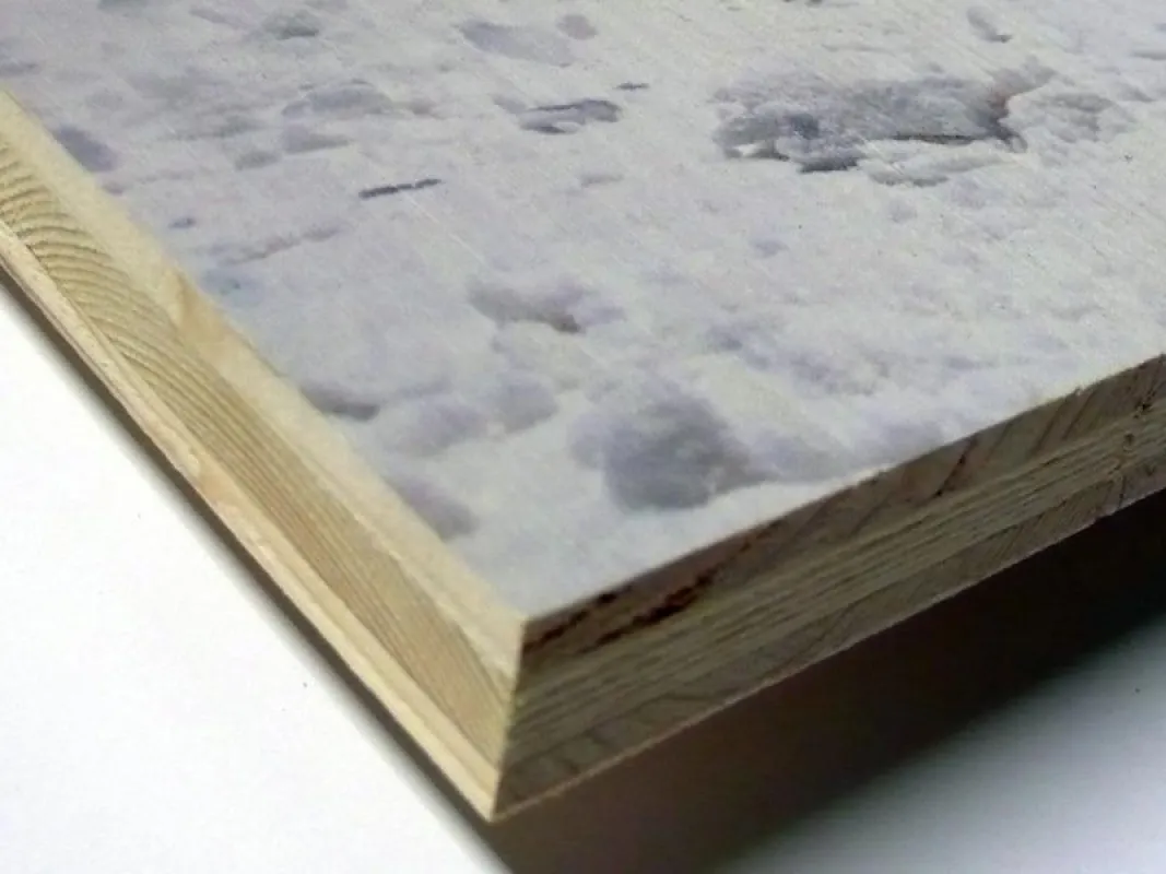 Druck auf Holz / Wenzel GmbH druck - kopie - media