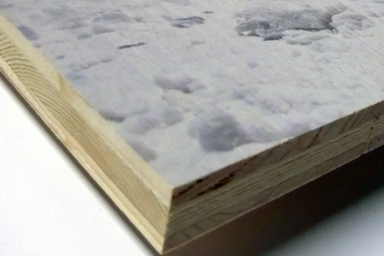 Bild: WENZEL bringt den Druck aufs Holz