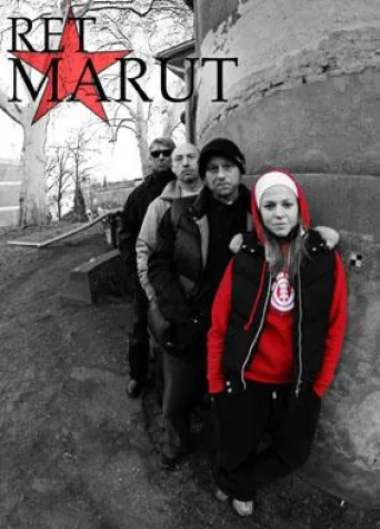 Bild: too much future / Punk in der DDR - Sonderausstellung im rock'n'popmuseum