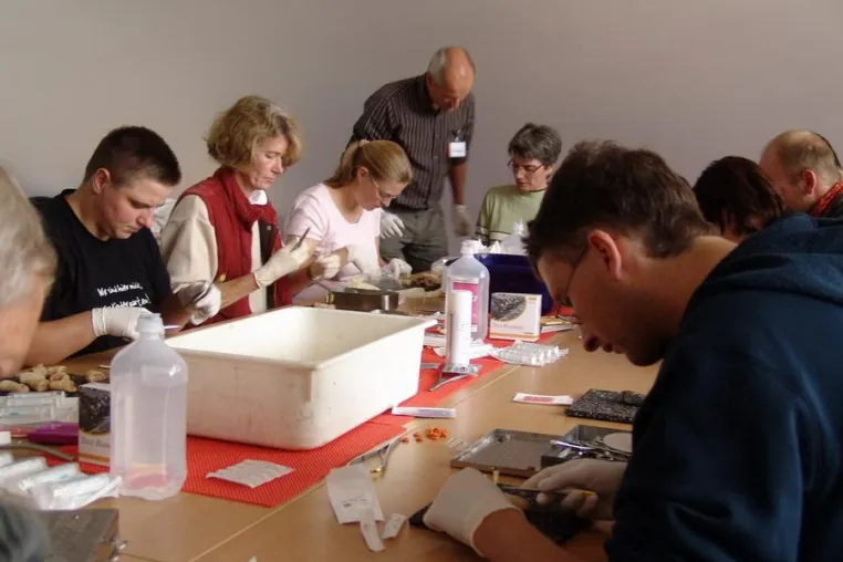 AVA-Intensiv-Workshop - Zitzenoperationen bei der Milchkuh für Tierärzte fand super Anklang Bild: AVA-Intensiv-Workshop - Zitzenoperationen bei der Milchkuh für Tierärzte fand super Anklang