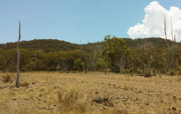 Bild: New South Wales unterstützt First Tin mit bis zu 494.000 AUD