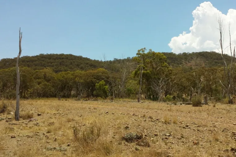 Bild: New South Wales unterstützt First Tin mit bis zu 494.000 AUD