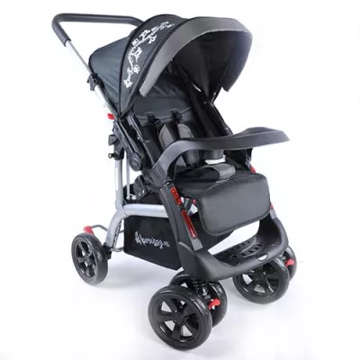 Bild: Kinderwagen Delux S5