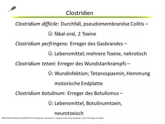 Bild: Medizinische/veterinärmedizinische Berufsausbildung zur MTA-L oder VMTA: Infotage 21.02.14 und 14.03.2014