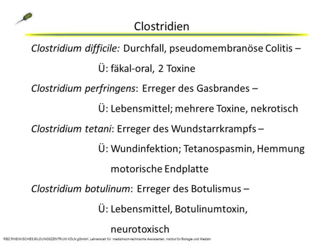 Bild: Medizinische/veterinärmedizinische Berufsausbildung zur MTA-L oder VMTA: Infotage 21.02.14 und 14.03.2014