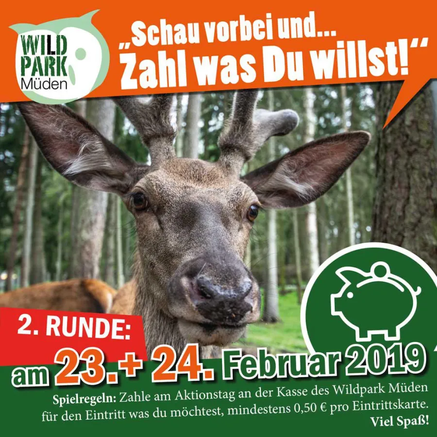 Rothirsch im Wildpark Müden