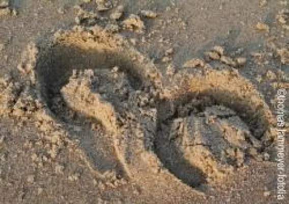 Polo Event - Beach Polo Bild: Polo Event - Beach Polo