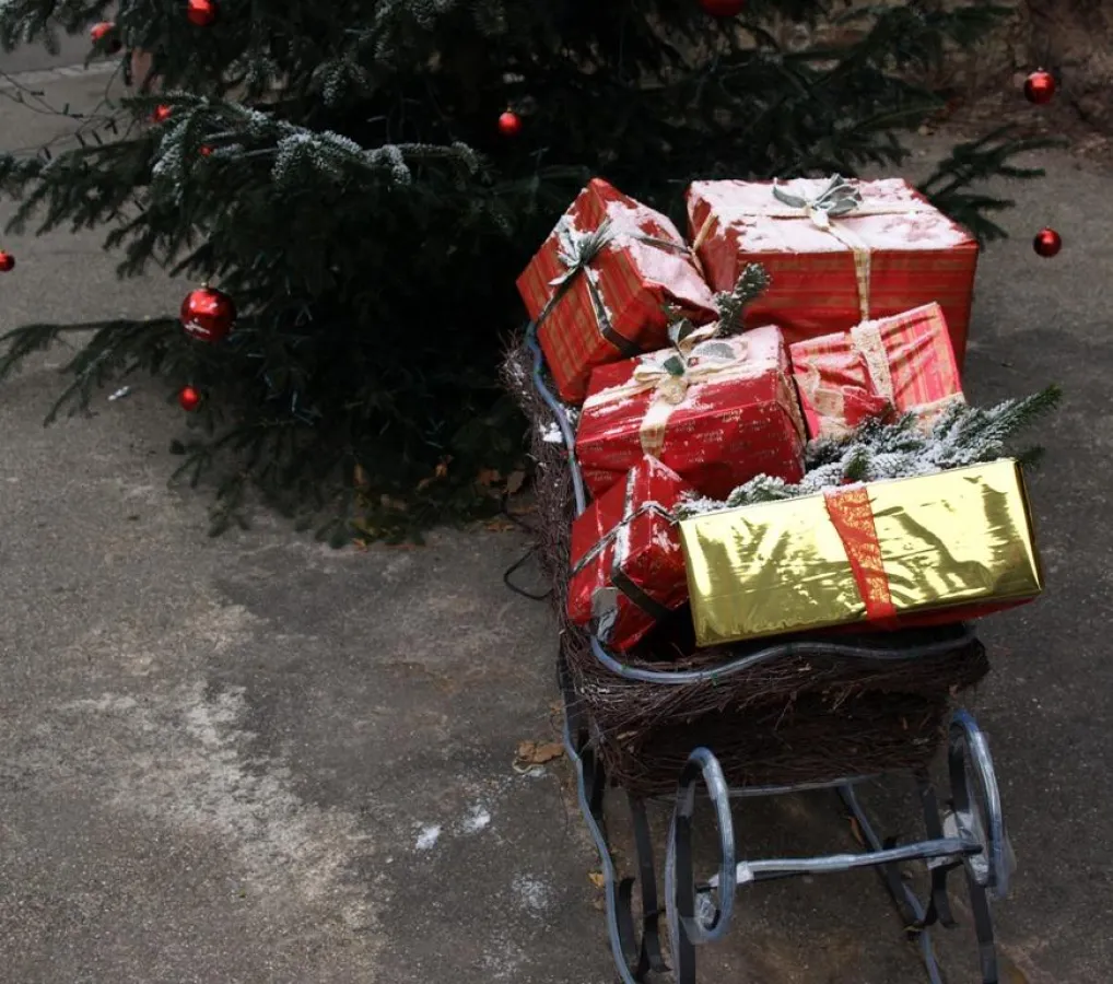 Weihnachten 2008 - leider ohne Schnee (Foto: Proplanta)