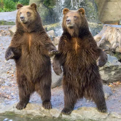 Bild: Eintägige Fotoseminare "Tierfotografie" am 16.06.2010 und am 18.08.2010 in Tierpark Ha-genbeck in Hamburg