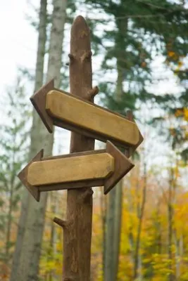 Bild: Lebensberatung als Wegweiser zur eigenen Veranlagung