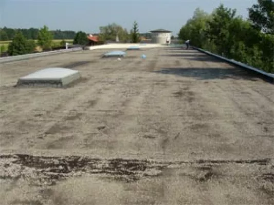 Bild: Dächer: Die Achillesfersen der Häuser