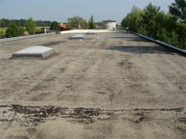 Bild: Dächer: Die Achillesfersen der Häuser